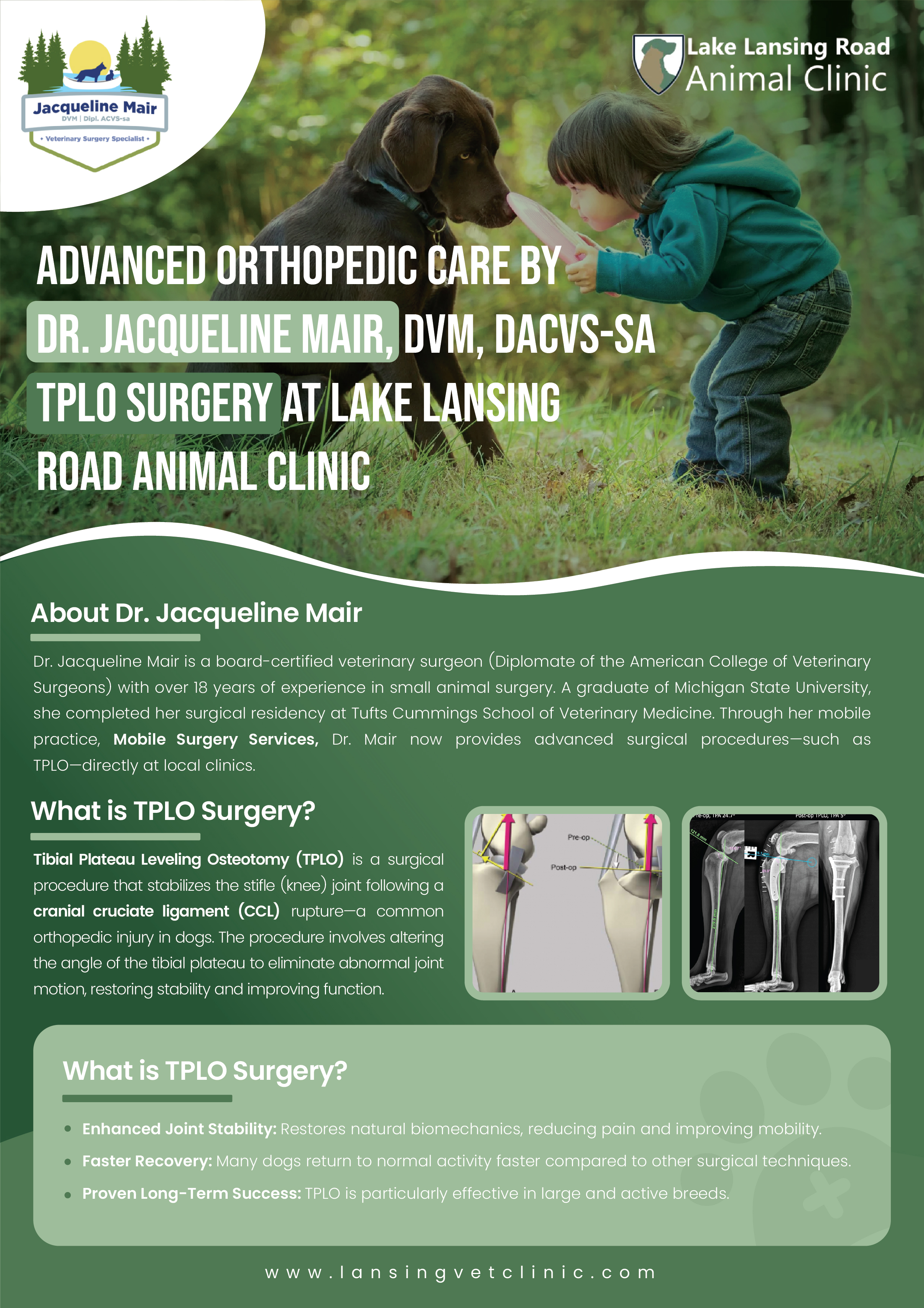 Flyer Design by Maxo-Biz for this project | Design #35271632