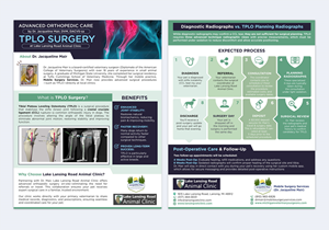 Design de Flyer par DA. pour ce projet | Design : #35270113