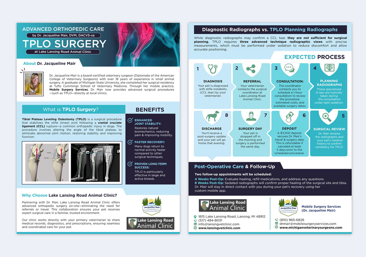 Flyer Design by DA. for this project | Design #35274745