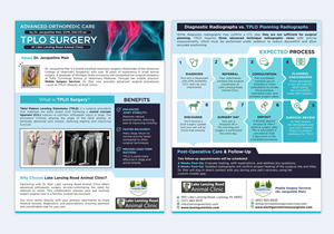 Design de Flyer par DA. pour ce projet | Design : #35274745