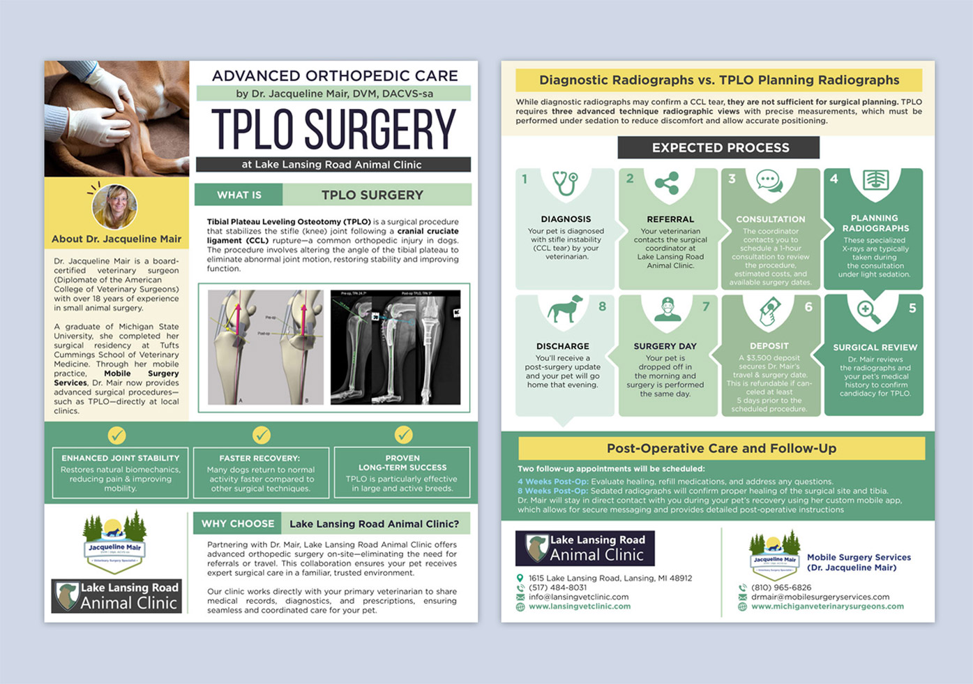 Flyer Design by DA. for this project | Design #35275797