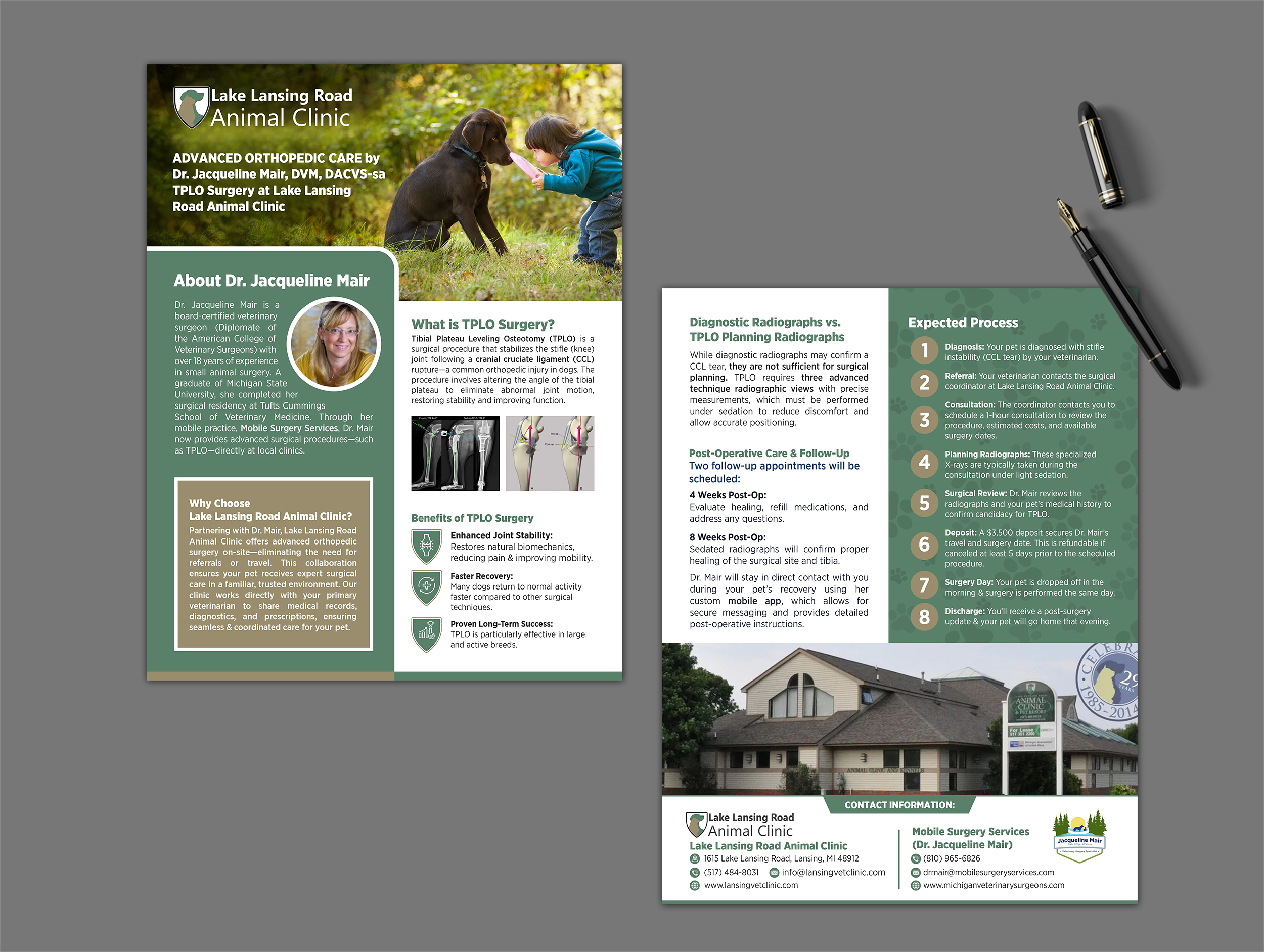 Flyer Design by GraphicsGuru for this project | Design #35311016