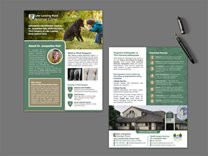 Flyer Design by GraphicsGuru for this project | Design: #35311016