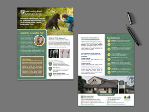 Design de Flyer par GraphicsGuru pour ce projet | Design : #35312857
