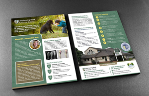 Design de Flyer par GraphicsGuru pour ce projet | Design : #35314394
