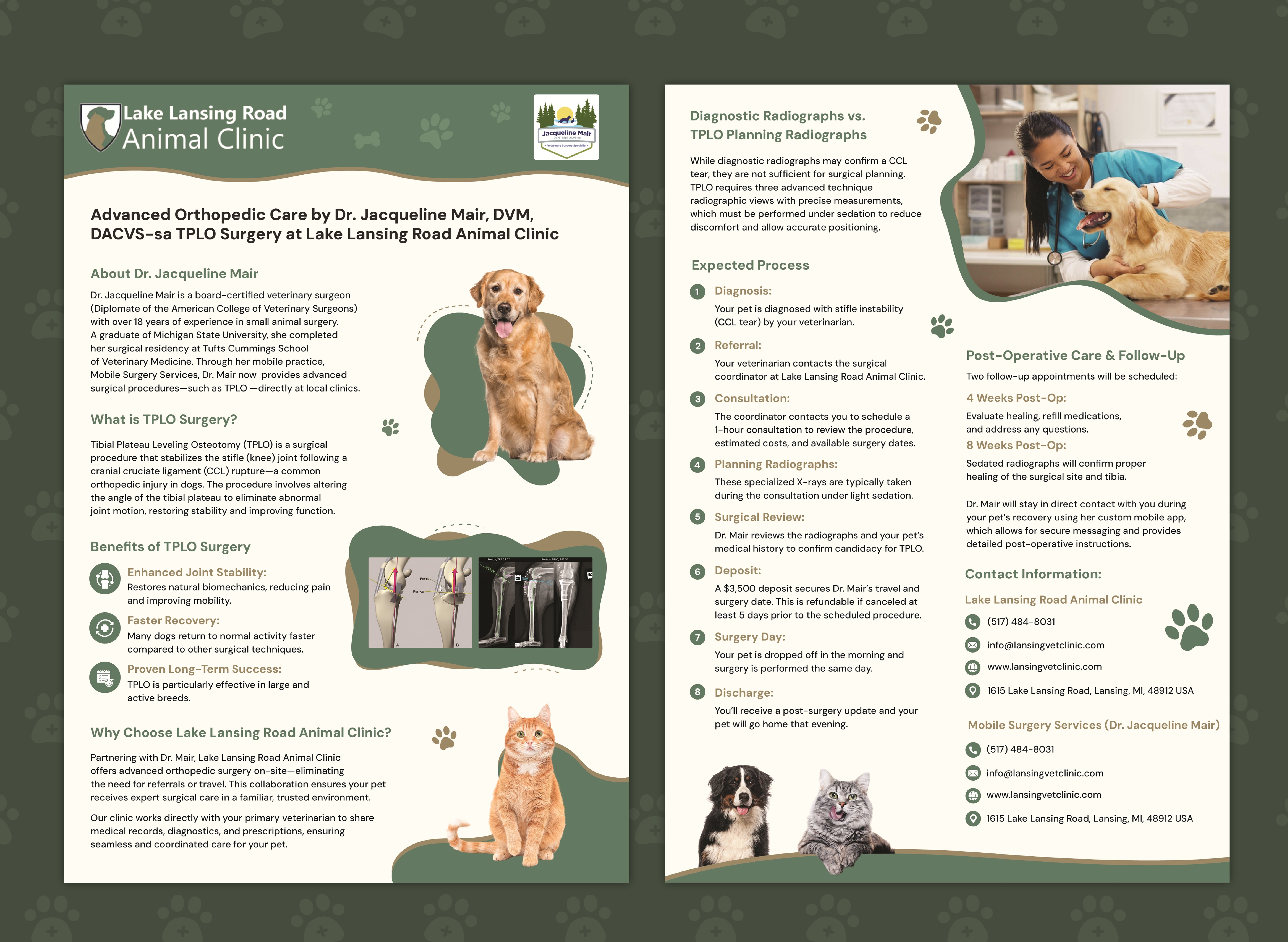 Flyer Design by Creative Slices for this project | Design #35271498