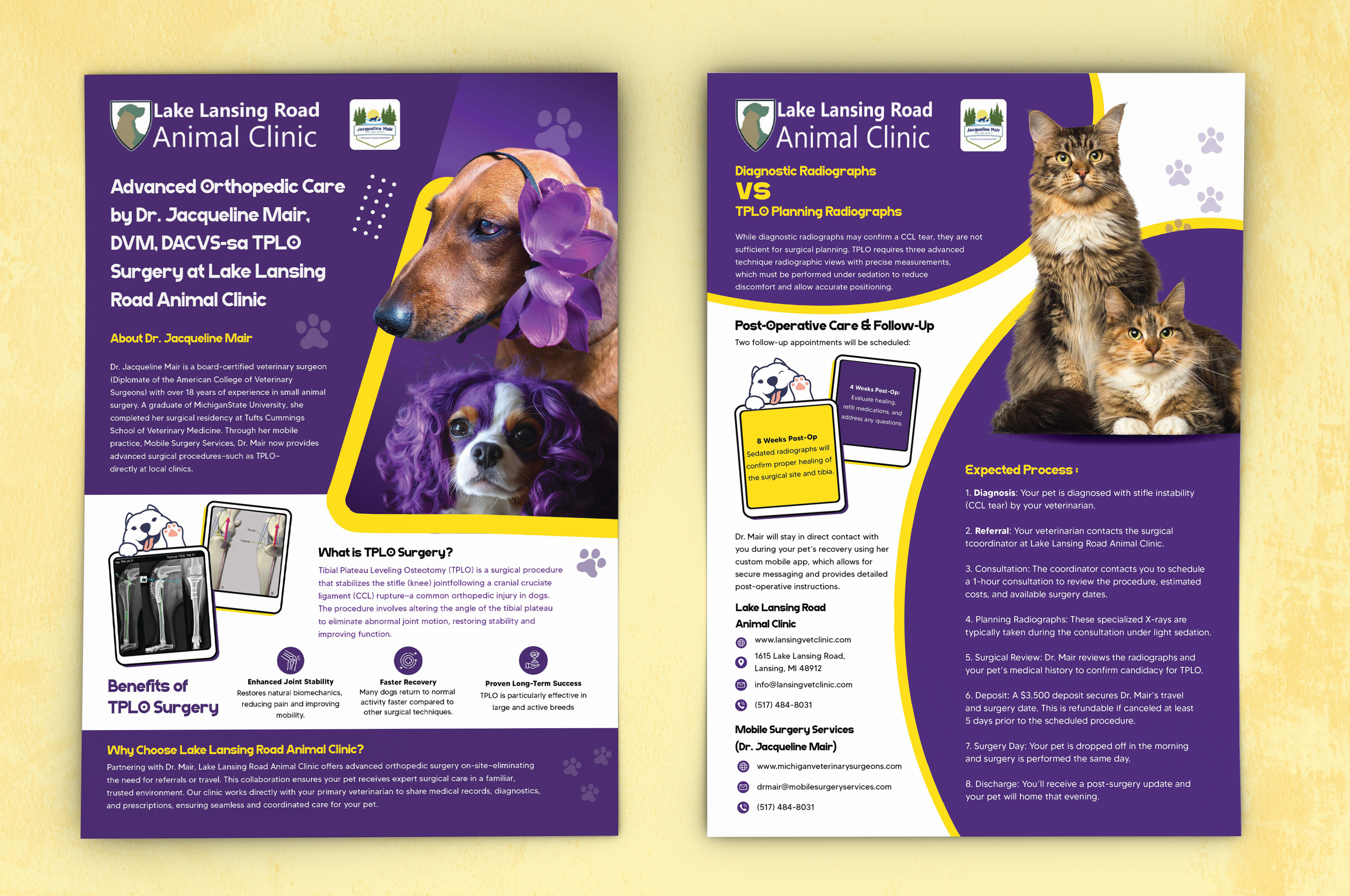 Flyer Design by Creative Slices for this project | Design #35271509