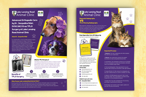 Flyer Design by Creative Slices for this project | Design: #35271509