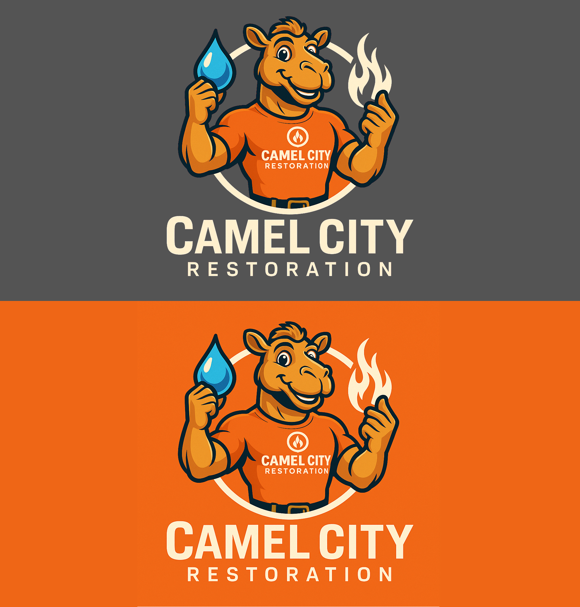 Logo Design by shakibali for this project | Design #35313478