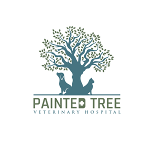 Logo Design by Sobisss