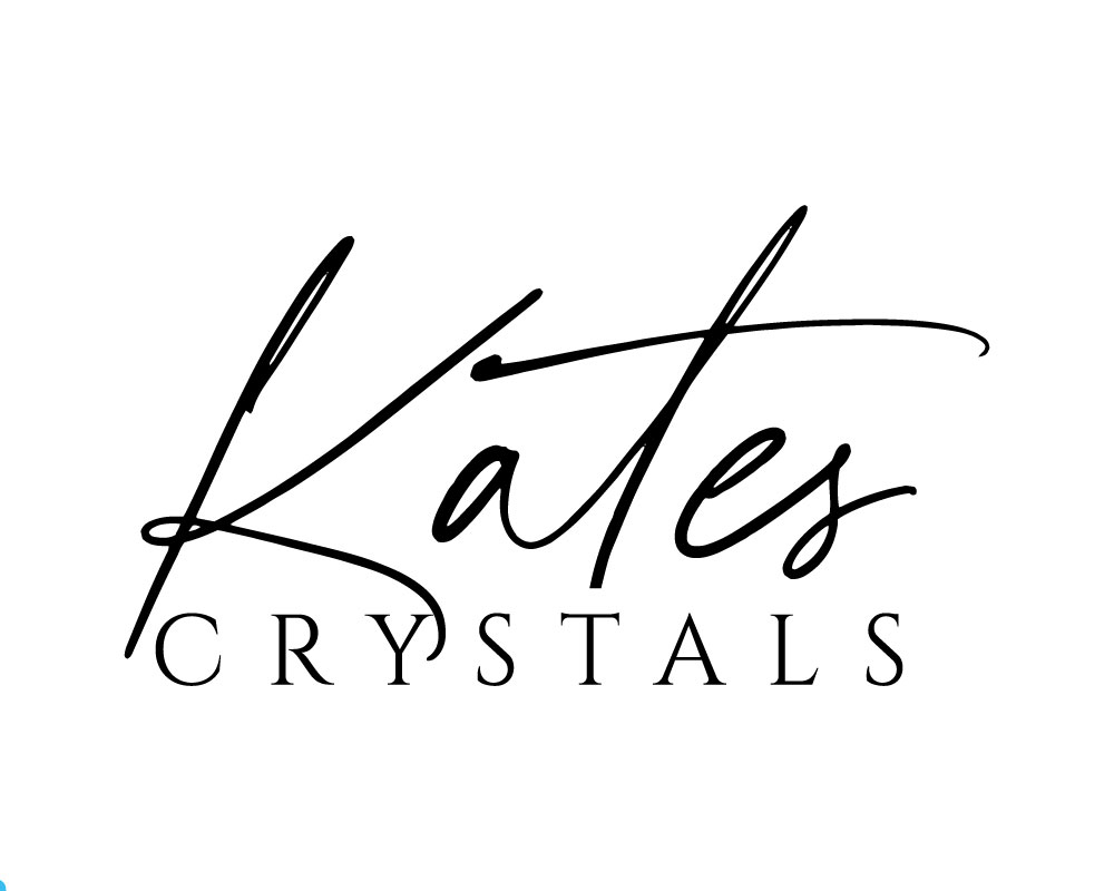 Logo Design by Badhan for this project | Design #35296572