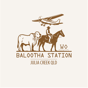 Logo Design by Alpesh Sumad