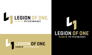 Logo Design by Duvai Studio for this project | Design: #35285942