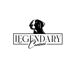Diseño de Logo por UMA 7 para este proyecto | Diseño: #35353794