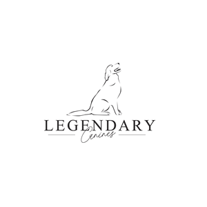 Diseño de Logo por UMA 7 para este proyecto | Diseño: #35353797