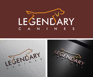 Diseño de Logo por Adi Graphics para este proyecto | Diseño: #35316060