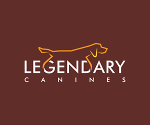 Logo Design by Adi Graphics for this project | Design: #35389297