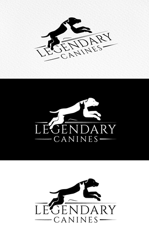 Diseño de Logo por SolDesign para este proyecto | Diseño: #35327854