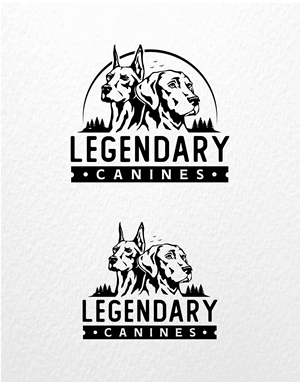 Logo Design by Hanzulla wahid