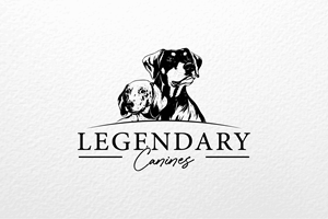 Logo Design by Hanzulla wahid for this project | Design: #35339923