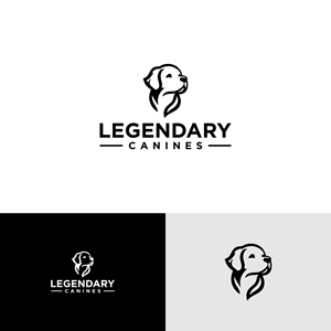 Diseño de Logo por ni9 para este proyecto | Diseño: #35364534
