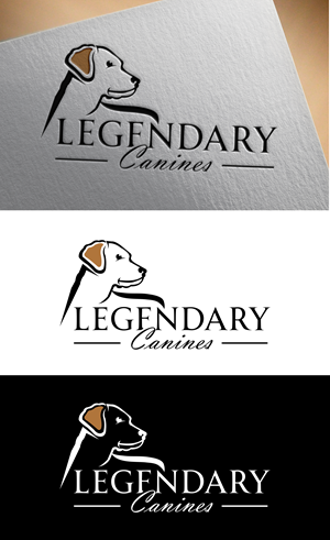 Diseño de Logo por AKTech para este proyecto | Diseño: #35331038