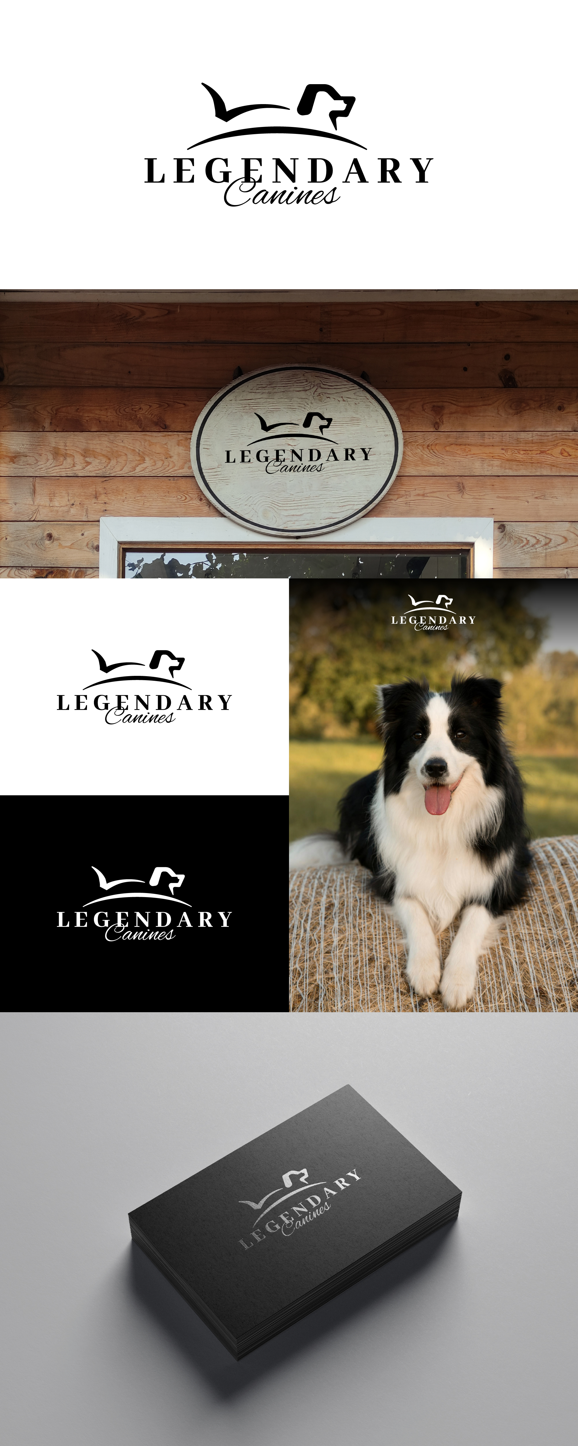 Logo Design by TenMa.Std for this project | Design #35370950