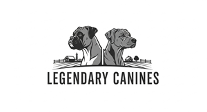 Logo Design by HSL Brain for this project | Design: #35353856