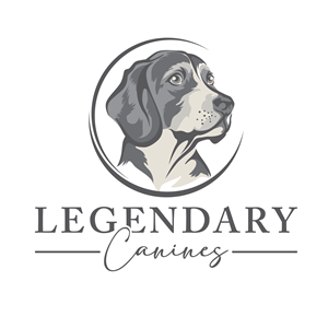 Diseño de Logo por safinez para este proyecto | Diseño: #35317318