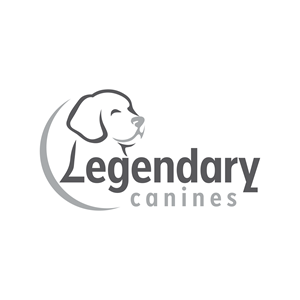 Diseño de Logo por safinez para este proyecto | Diseño: #35317324