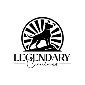 Logo Design by Taha_01 for this project | Design: #35302135