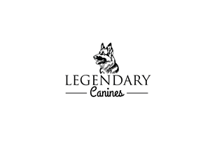 Logo Design by Xyper_Design