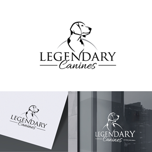 Diseño de Logo por AbhishekkM'24 para este proyecto | Diseño: #35311419