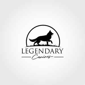 Diseño de Logo por ares_h1 para este proyecto | Diseño #35326867