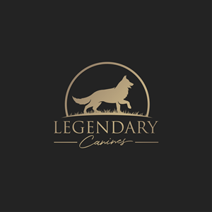 Diseño de Logo por ares_h1 para este proyecto | Diseño: #35326868
