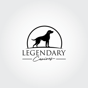 Diseño de Logo por ares_h1 para este proyecto | Diseño: #35333024