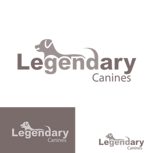 Logo Design by Ushan De Silva