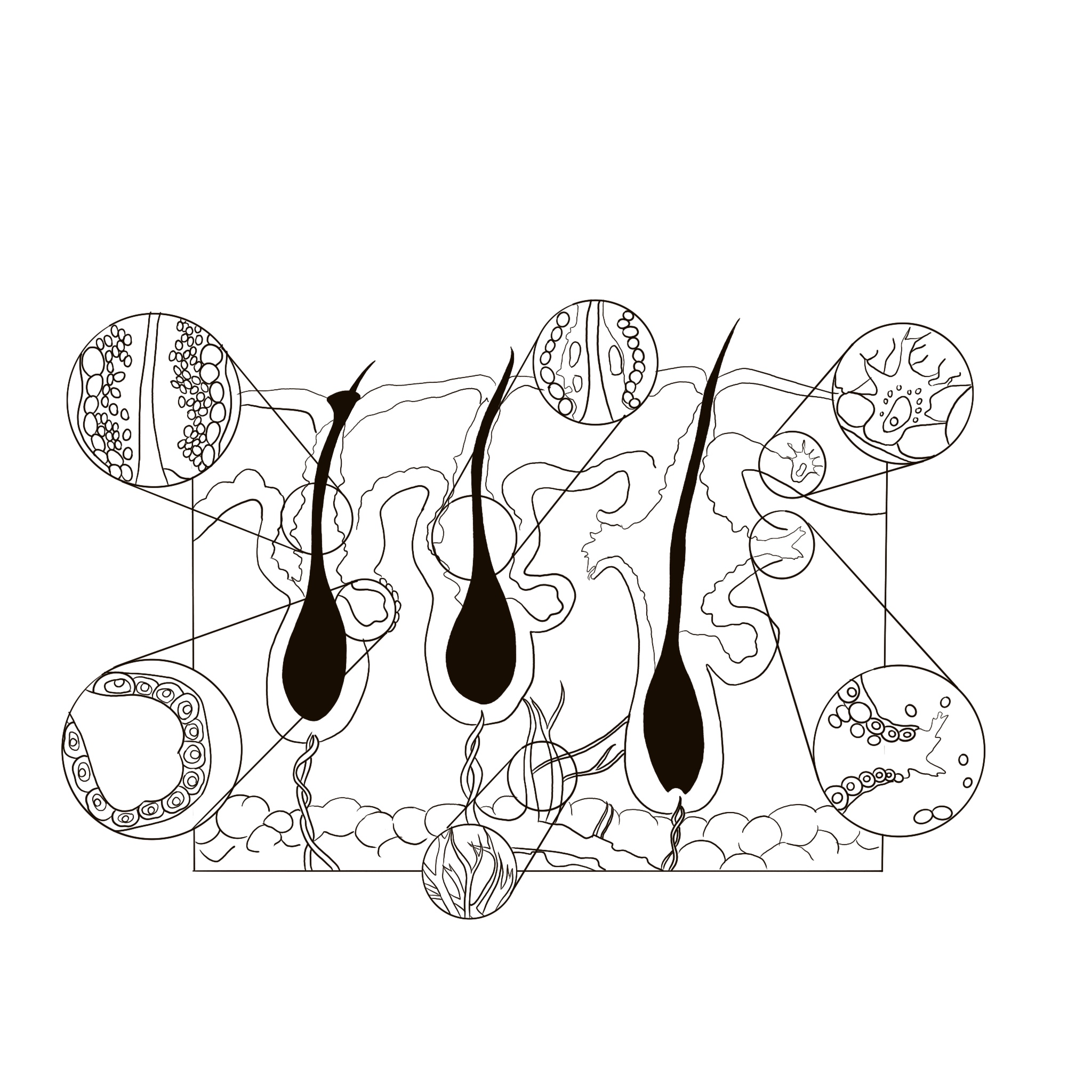 Diseño Gráfico por arneilynae para este proyecto | Diseño #35312012