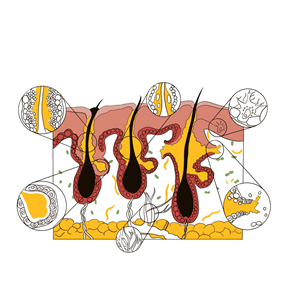 Diseño Gráfico por arneilynae para este proyecto | Diseño: #35321530
