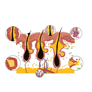 Diseño Gráfico por arneilynae para este proyecto | Diseño: #35333962