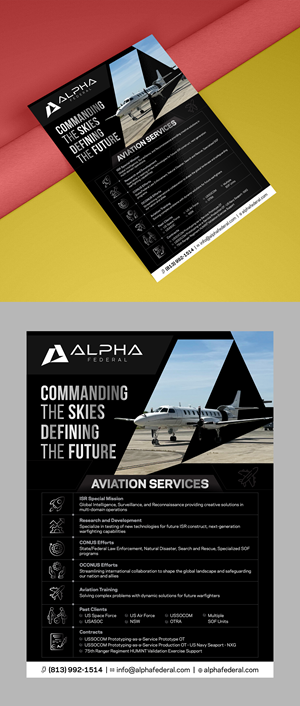 Alpha Federal Modern, Sleek One Pager/Slick Sheet