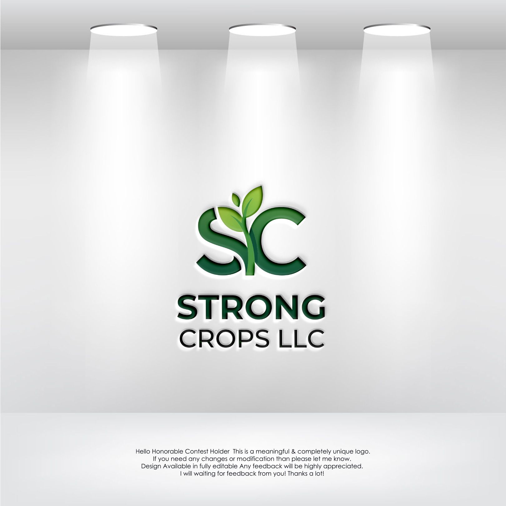 Logo Design by LogoEon for this project | Design #35305711