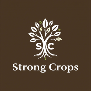 Logo Design by Aspentop Pty Ltd