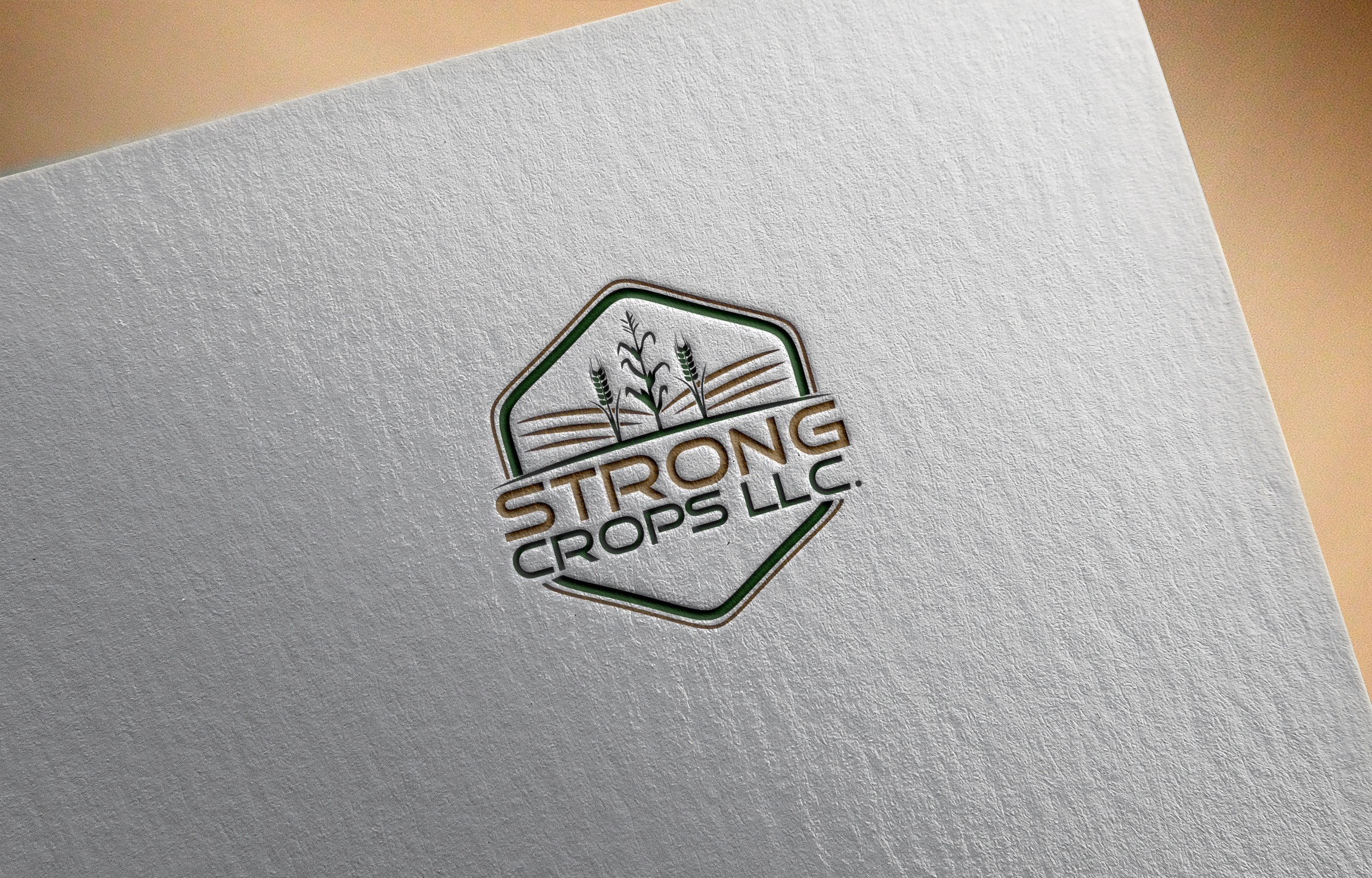 Logo Design by niajul hok for this project | Design #35315930