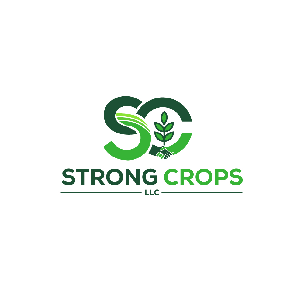 Logo Design by Krold IT Solutions for this project | Design #35309880