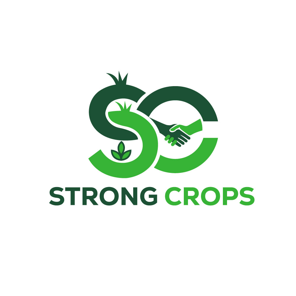 Logo Design by Krold IT Solutions for this project | Design #35309947