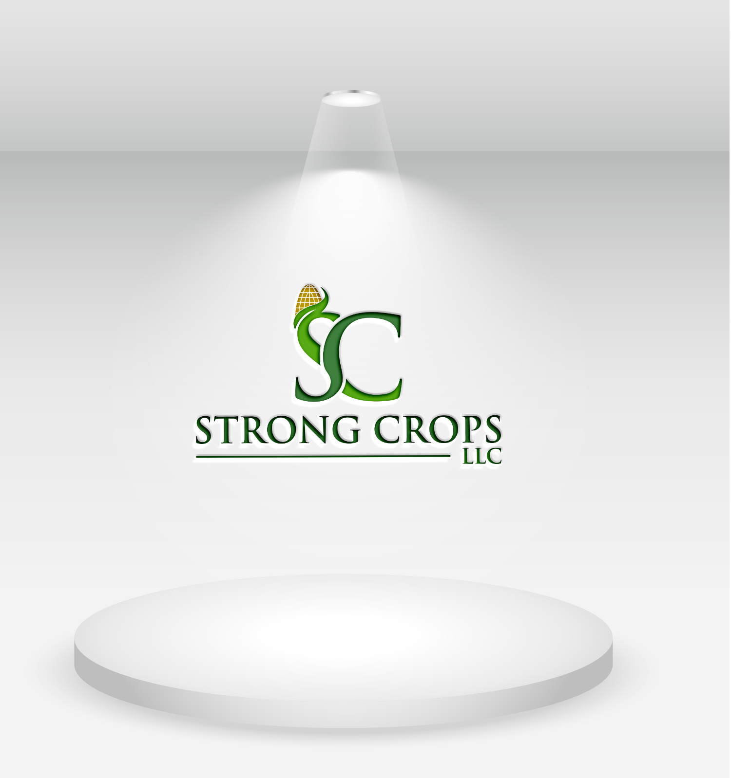 Logo Design by Kaski™ for this project | Design #35315859