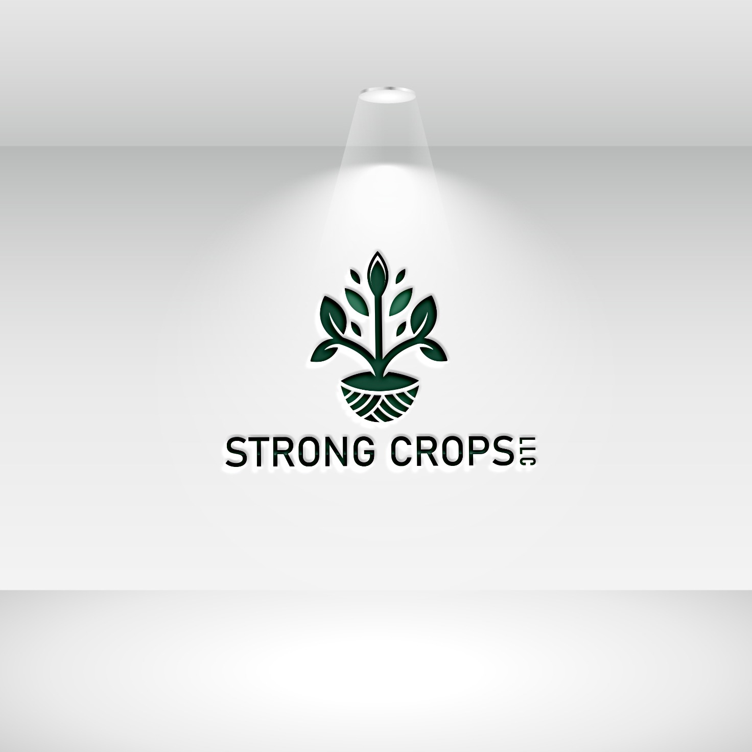 Logo Design by Deziners Zone for this project | Design #35310543