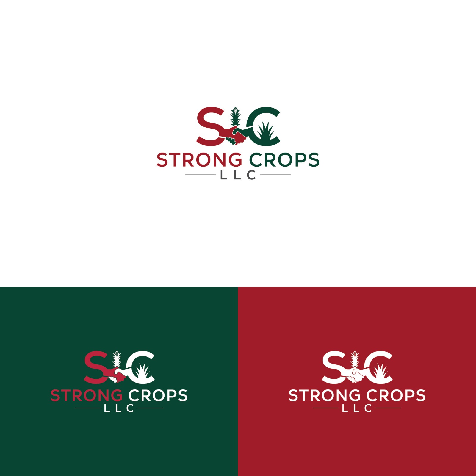 Logo Design by Deziners Zone for this project | Design #35310544