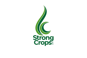 Logo Design by iamrady for this project | Design: #35340179